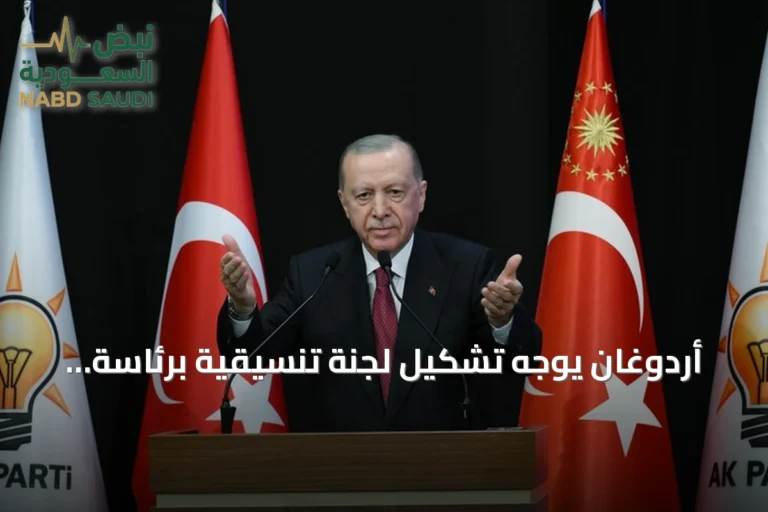 أردوغان يوجه تشكيل لجنة تنسيقية برئاسة نائب الرئيس لتصفية صناديق الاستثمار تحت إشراف كامل