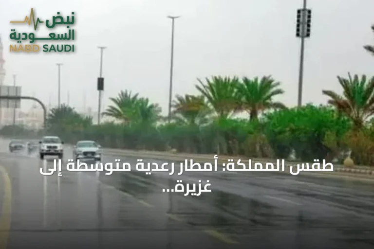 طقس المملكة: أمطار رعدية متوسطة إلى غزيرة مع برد ورياح نشطة على عدة مناطق