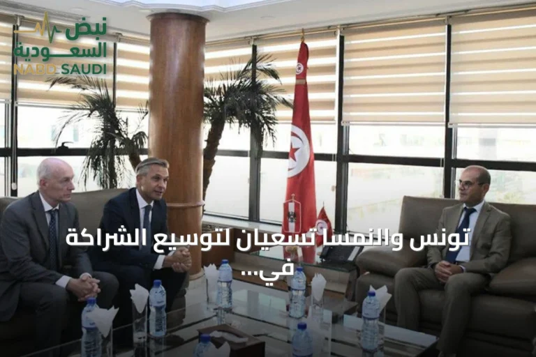 تونس والنمسا تسعيان لتوسيع الشراكة في الصناعة والطاقة