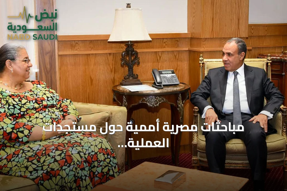 مباحثات مصرية أممية حول مستجدات العملية السياسية والانتخابات بليبيا