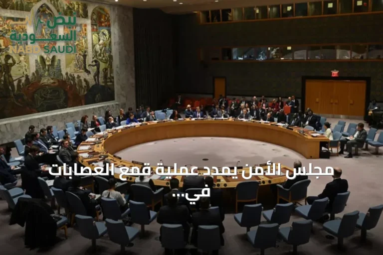 مجلس الأمن يمدد عملية قمع العصابات في هايتي ويوسع دور الأمم المتحدة