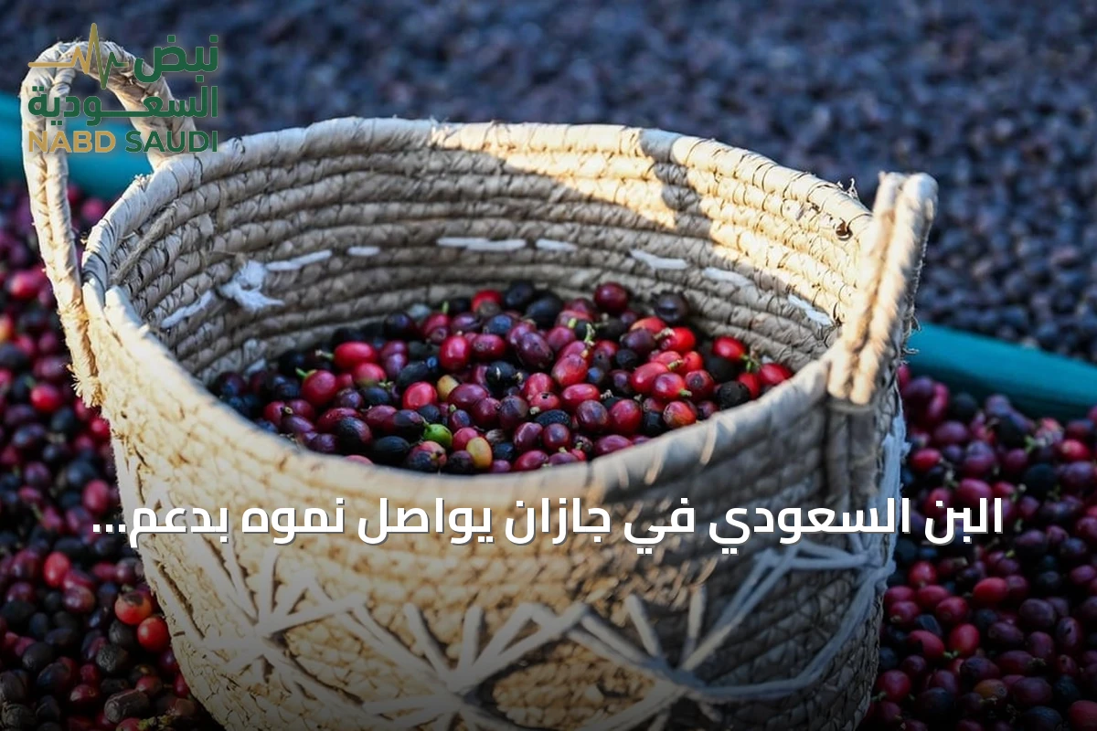 البن السعودي في جازان يواصل نموه بدعم الاستثمارات والبرامج التمويلية
