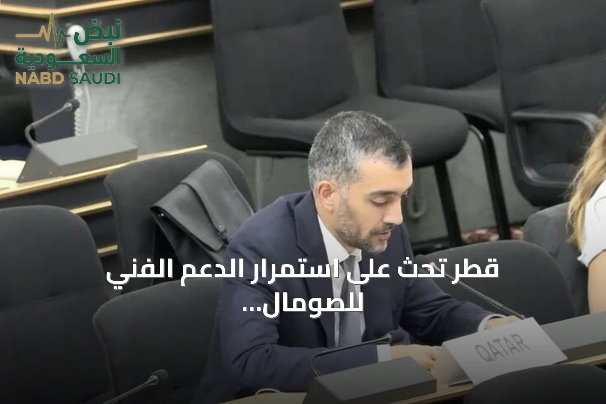 قطر تحث على استمرار الدعم الفني للصومال لتعزيز حقوق الإنسان
