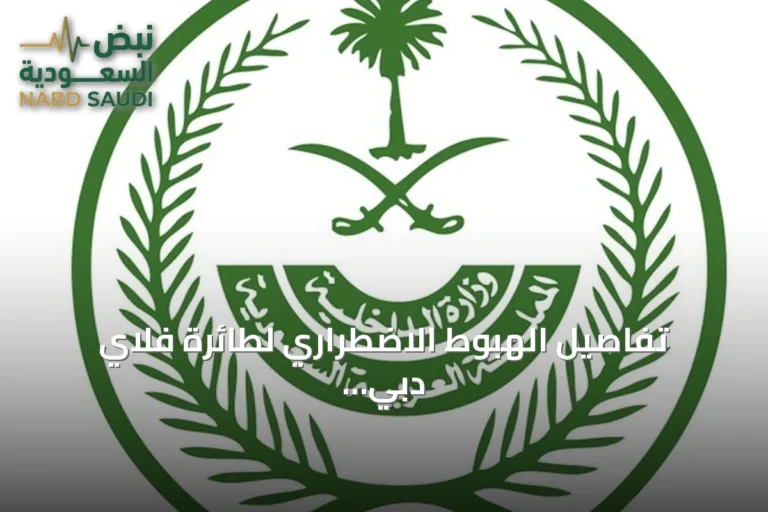 تفاصيل الهبوط الاضطراري لطائرة فلاي دبي في تبوك بعد اعتداء مساعده على القائد