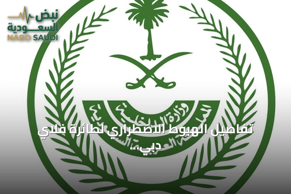 تفاصيل الهبوط الاضطراري لطائرة فلاي دبي في تبوك بعد اعتداء مساعده على القائد