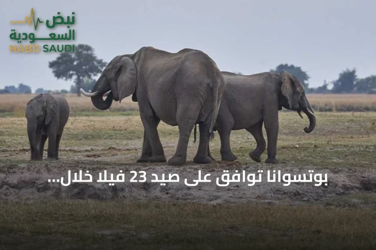 بوتسوانا توافق على صيد 23 فيلا خلال احتفالات الاستقلال