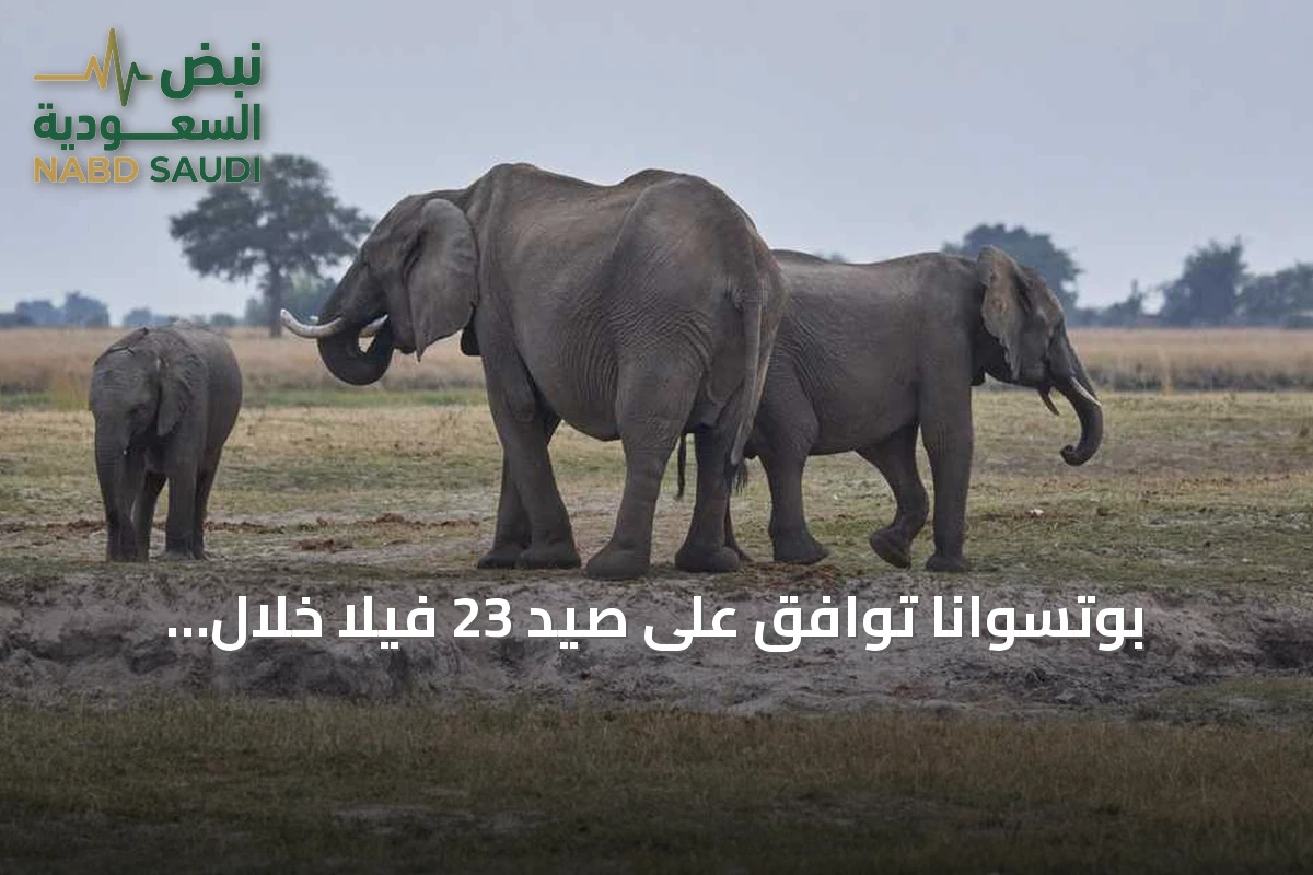 بوتسوانا توافق على صيد 23 فيلا خلال احتفالات الاستقلال