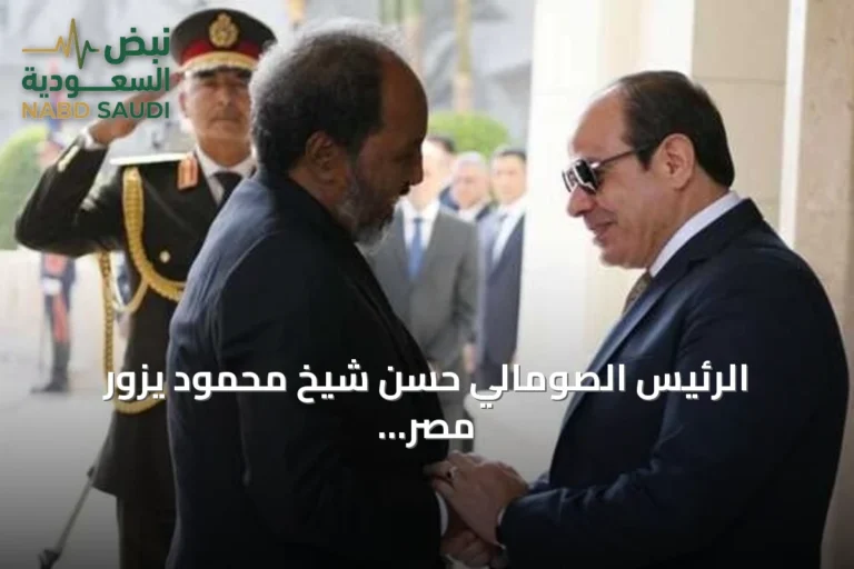 الرئيس الصومالي حسن شيخ محمود يزور مصر لحضور منتدى العلمين الإفريقي