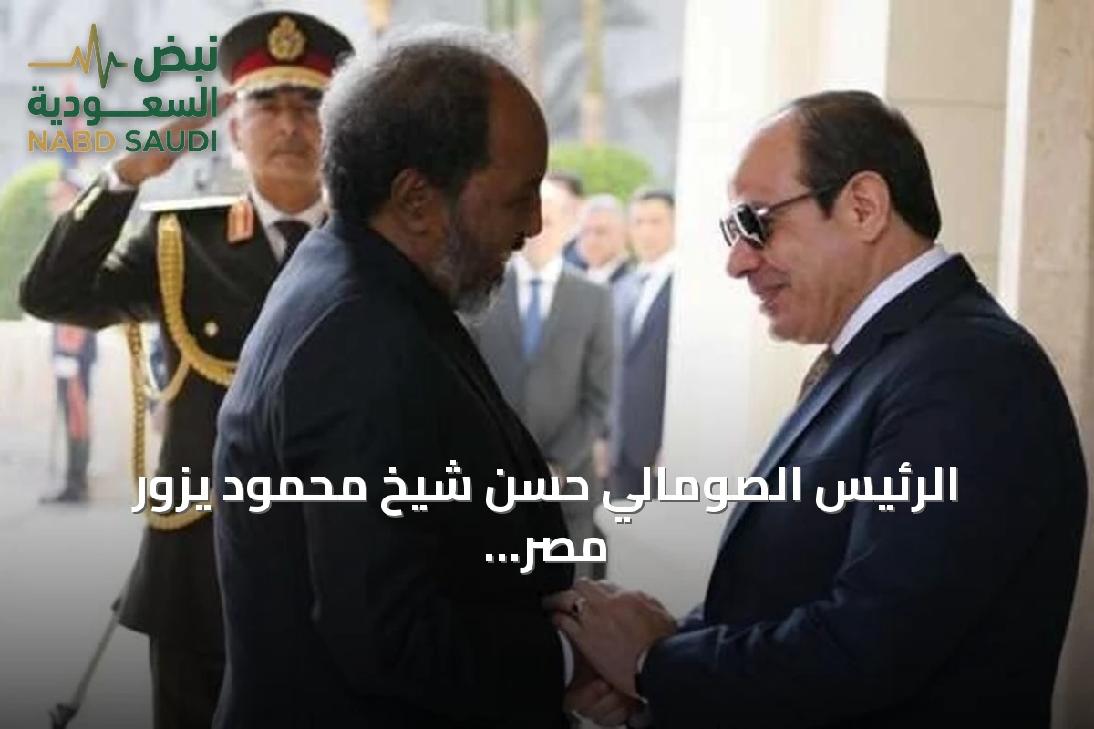 الرئيس الصومالي حسن شيخ محمود يزور مصر لحضور منتدى العلمين الإفريقي