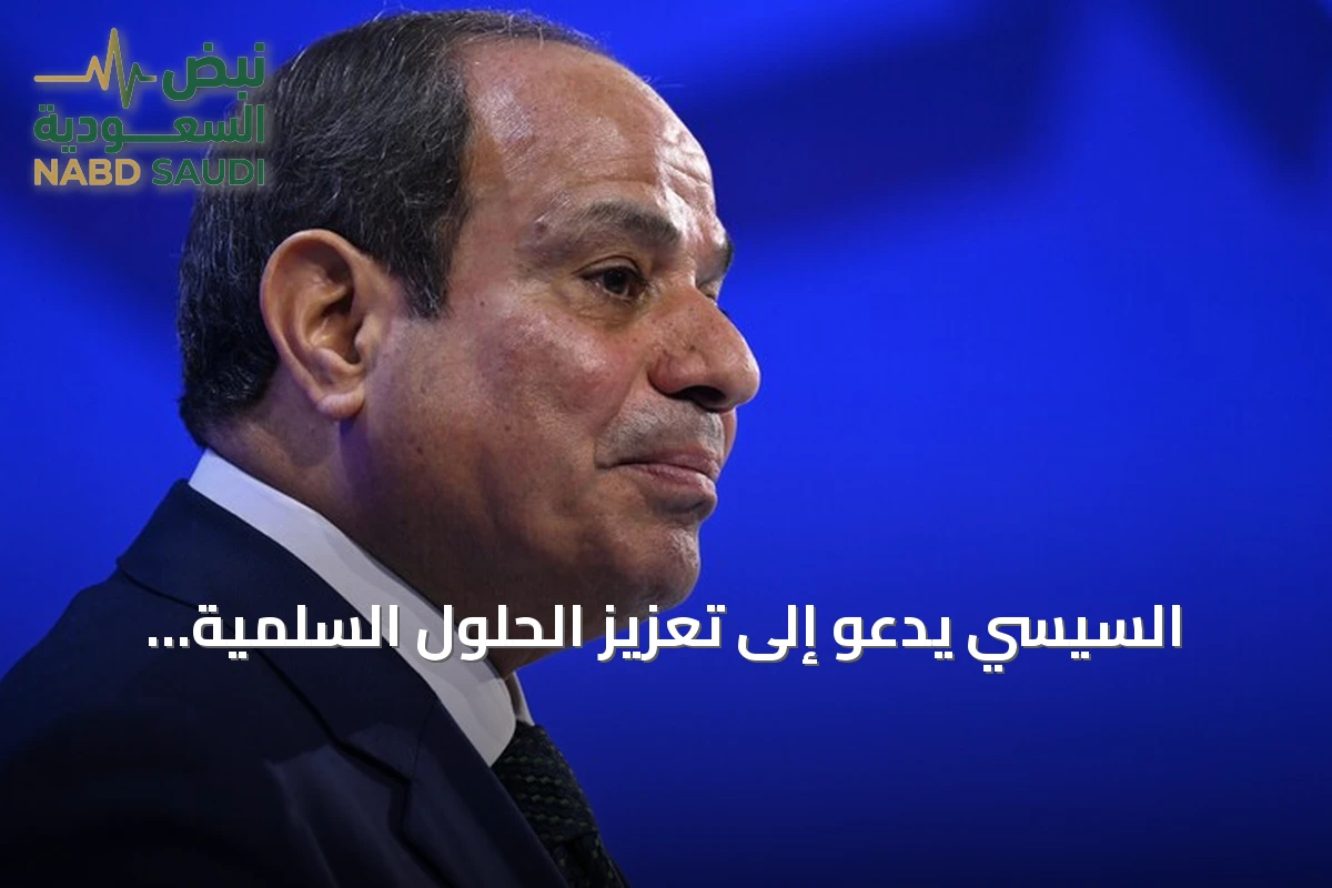 السيسي يدعو إلى تعزيز الحلول السلمية للنزاعات في إفريقيا