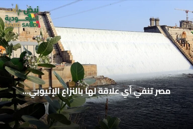 مصر تنفي أي علاقة لها بالنزاع الإثيوبي وتستغرب ربط الاتحاد الإفريقي لها بالتوتر مع إريتريا