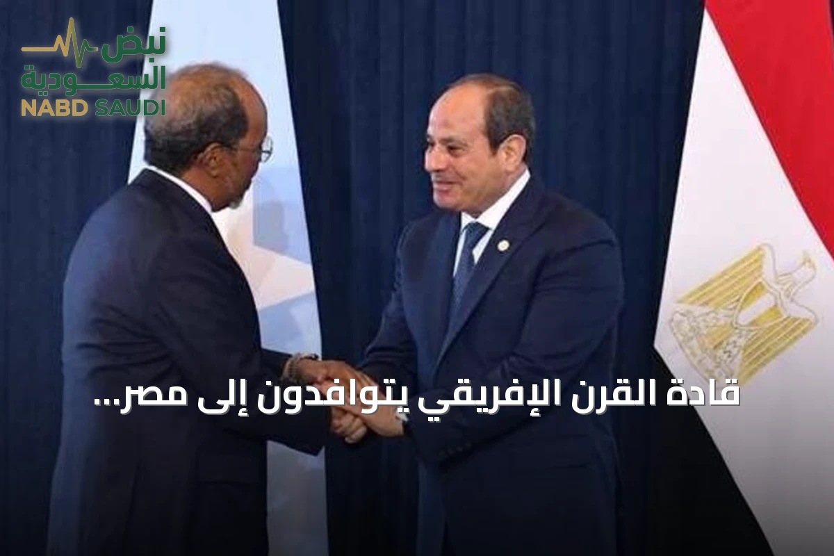قادة القرن الإفريقي يتوافدون إلى مصر للمشاركة في منتدى العلمين-إفريقيا وسط توترات إقليمية