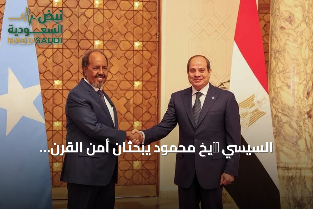 السيسي ושيخ محمود يبحثان أمن القرن الإفريقي والبحر الأحمر في لقاء بالعلمين الجديدة