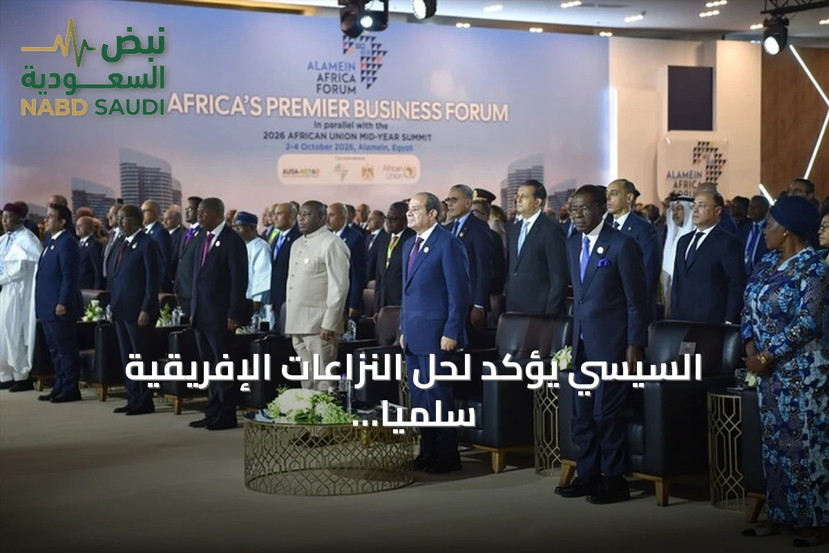 السيسي يؤكد لحل النزاعات الإفريقية سلمياً ورفض توظيف مياه النيل سياسيا