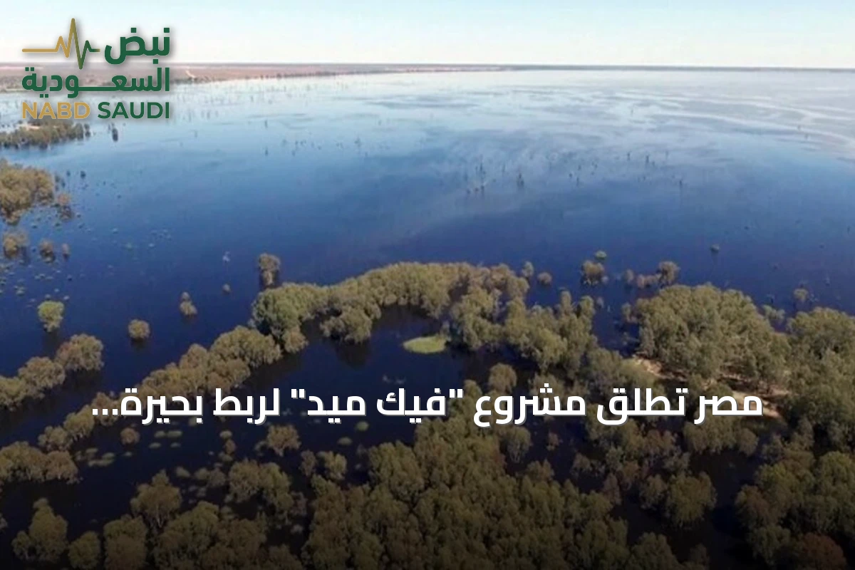مصر تطلق مشروع "فيك ميد" لربط بحيرة فيكتوريا بالبحر المتوسط عبر عشر دول إفريقية
