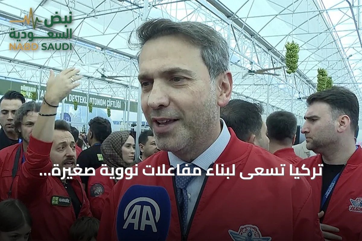 تركيا تسعى لبناء مفاعلات نووية صغيرة باستخدام قدرات محلية
