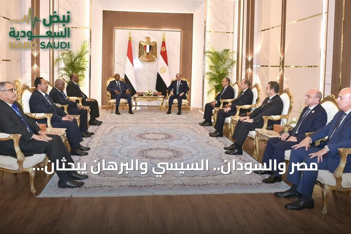 مصر والسودان.. السيسي والبرهان يبحثان إنهاء الحرب وتعزيز العلاقات في لقاء بالعلمين
