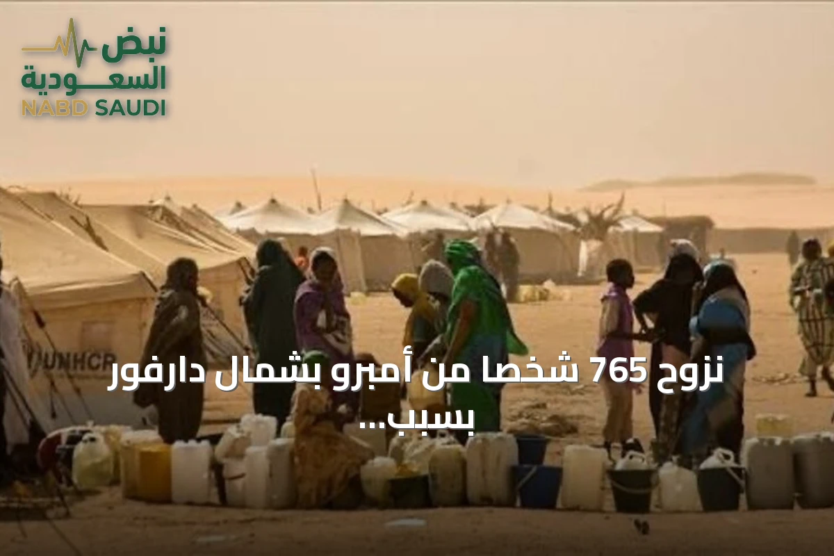 نزوح 765 شخصاً من أمبرو بشمال دارفور بسبب تدهور الأمن