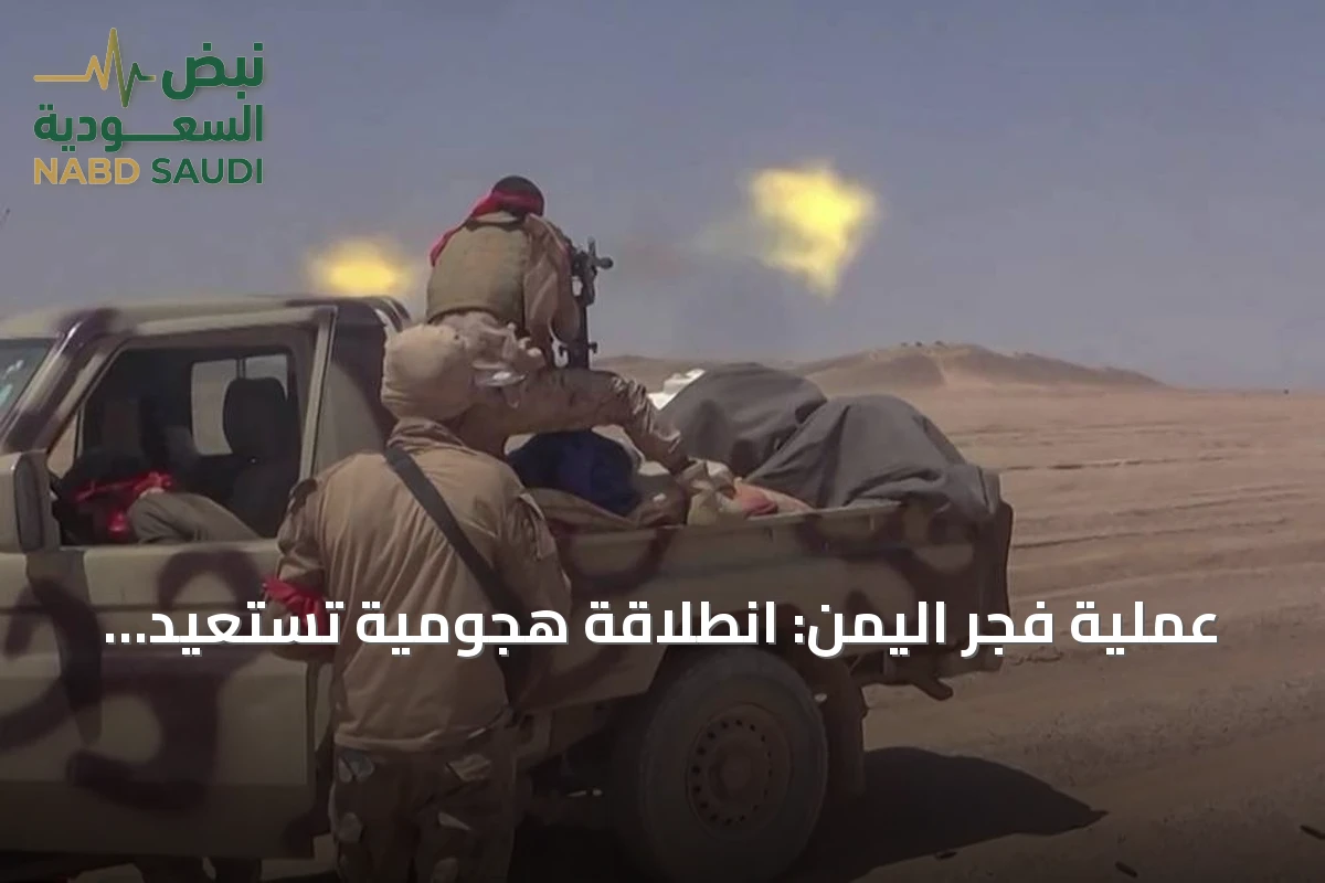 عملية فجر اليمن: انطلاقة هجومية تستعيد السيطرة على مضيق باب المندب وتتحرك نحو المخا