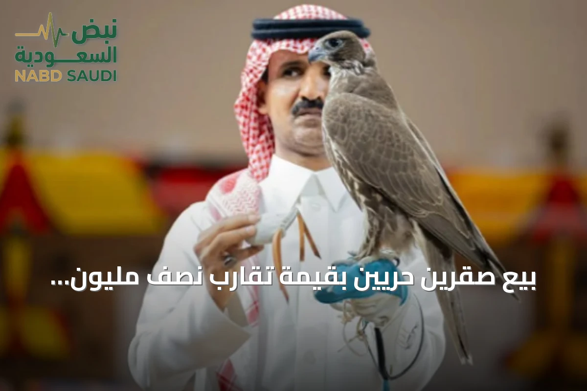 بيع صقرين حرّيين بقيمة تقارب نصف مليون ريال في مزاد المنغولية