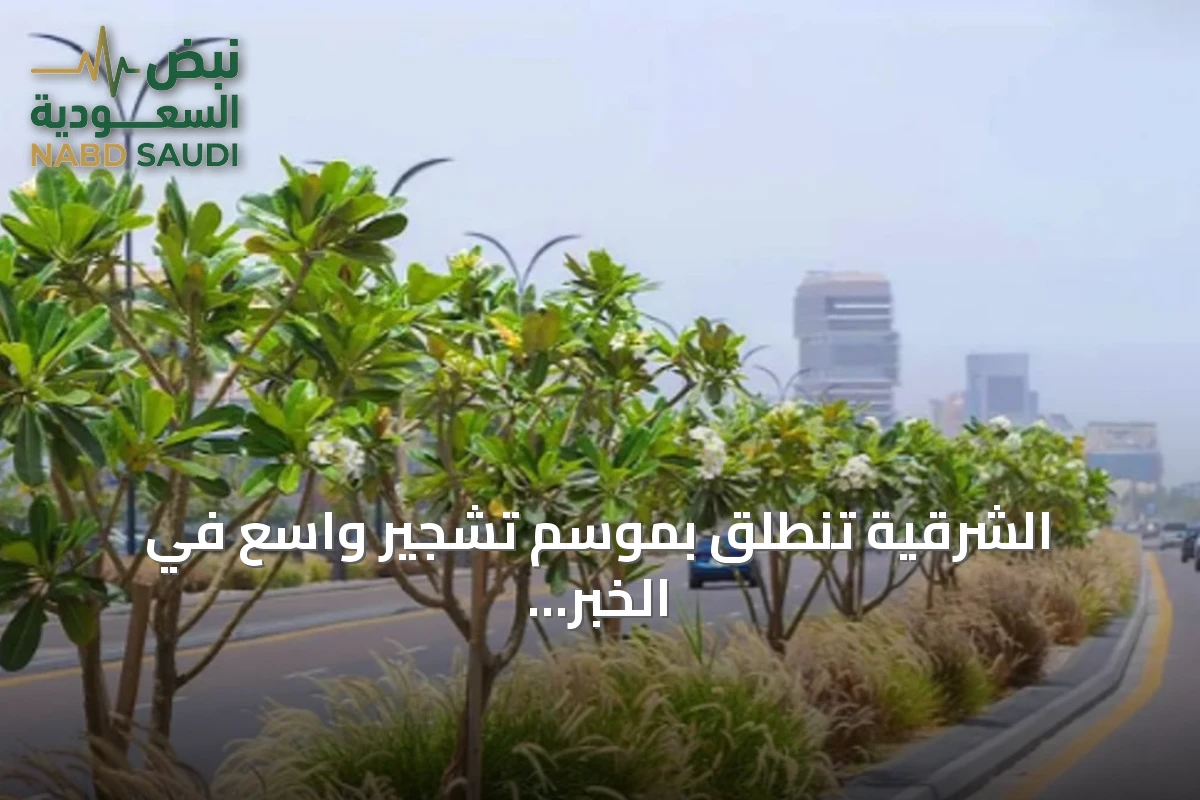 الشرقية تنطلق بموسم تشجير واسع في الخبر بزراعة عشرات الآلاف من الأشجار