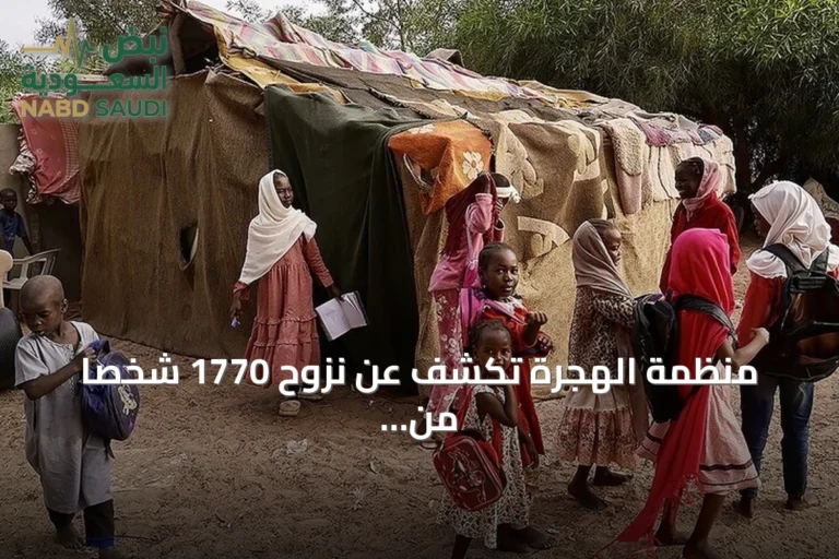 منظمة الهجرة تكشف عن نزوح 1770 شخصا من قرى النيل الأزرق في يوم واحد