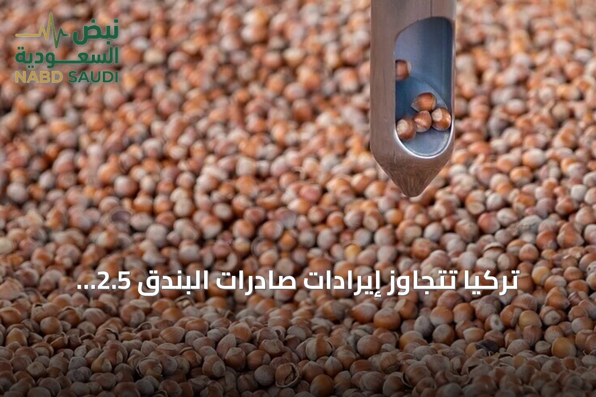 تركيا تتجاوز إيرادات صادرات البندق 2.5 مليار دولار في موسم 2025-2026