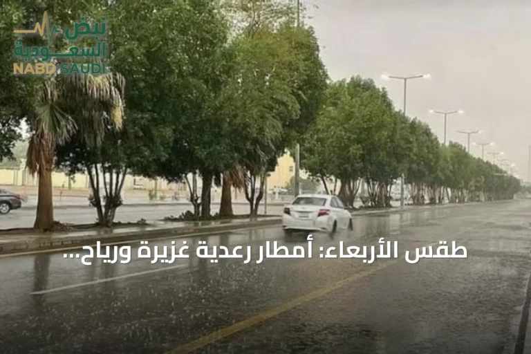 طقس الأربعاء: أمطار رعدية غزيرة ورياح مثيرة للغبار على عدة مناطق