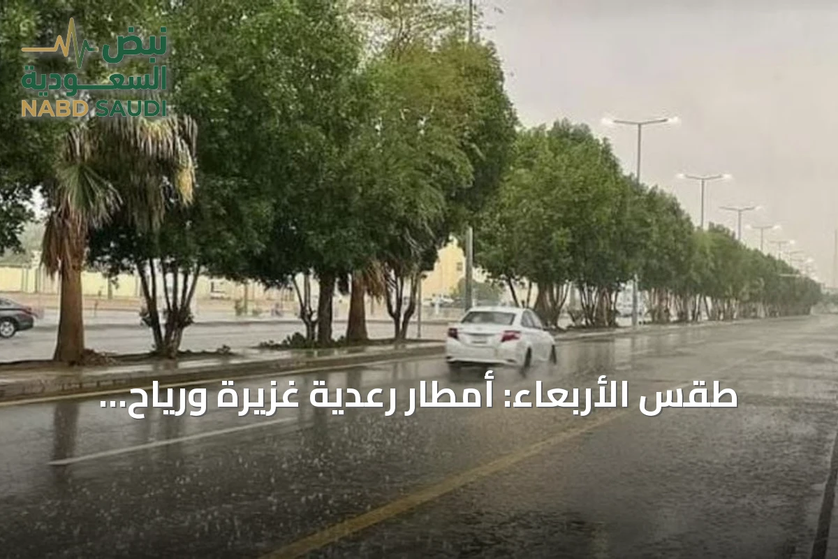 طقس الأربعاء: أمطار رعدية غزيرة ورياح مثيرة للغبار على عدة مناطق