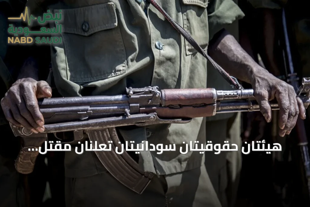 هيئتان حقوقيتان سودانيتان تعلنَان مقتل أربعة مدنيين بقصف طائرات مسيرة للدعم السريع بالدمازين