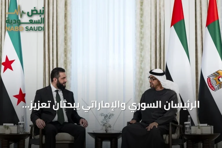 الرئيسان السوري والإماراتي يبحثان تعزيز التعاون وتطوير العلاقات