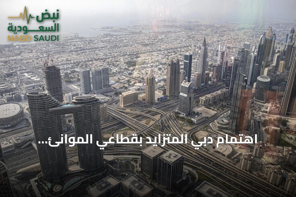 اهتمام دبي المتزايد بقطاعي الموانئ والخدمات اللوجستية في تركيا