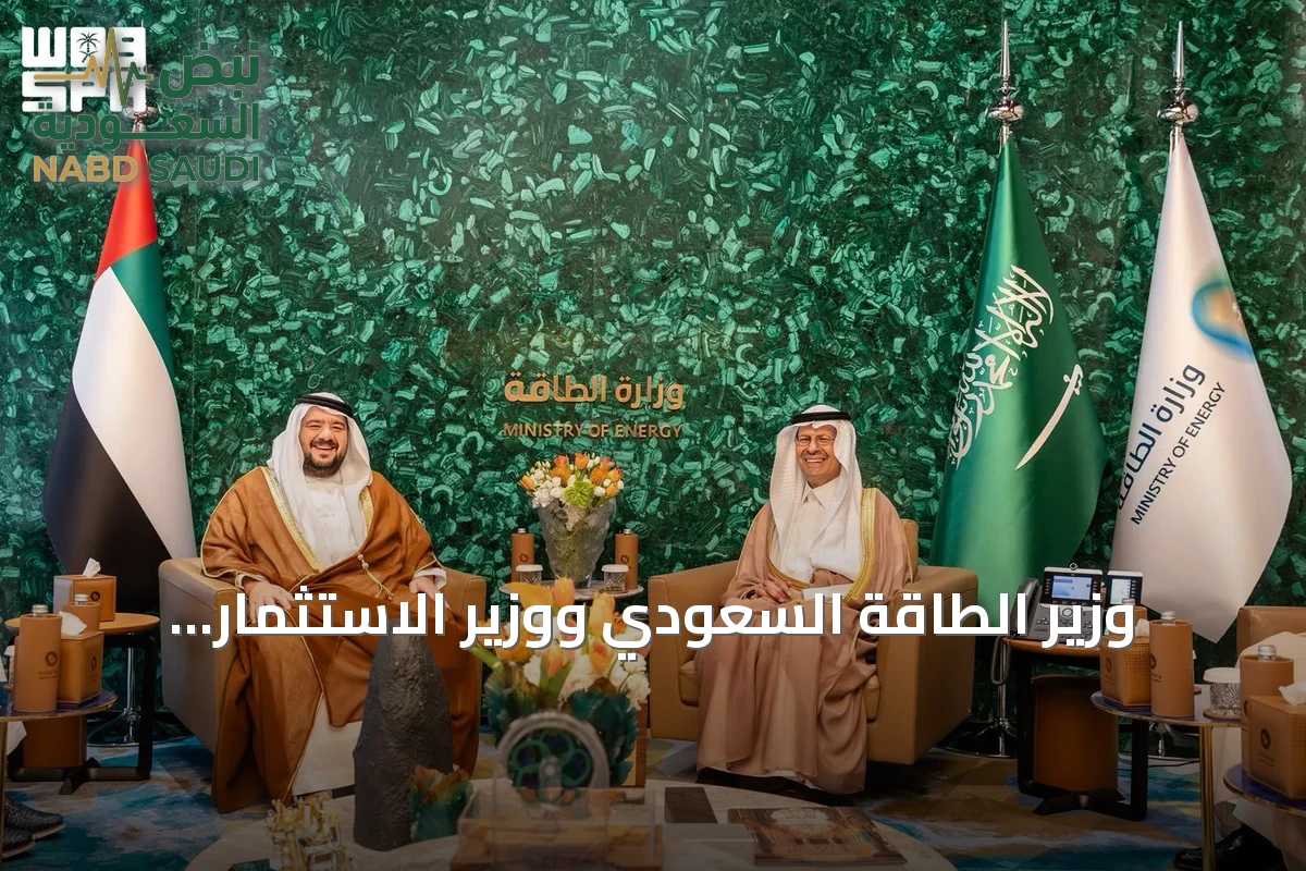 وزير الطاقة السعودي ووزير الاستثمار الإماراتي يوقعان مذكرة تفاهم لتعزيز الربط الكهربائي والسككي