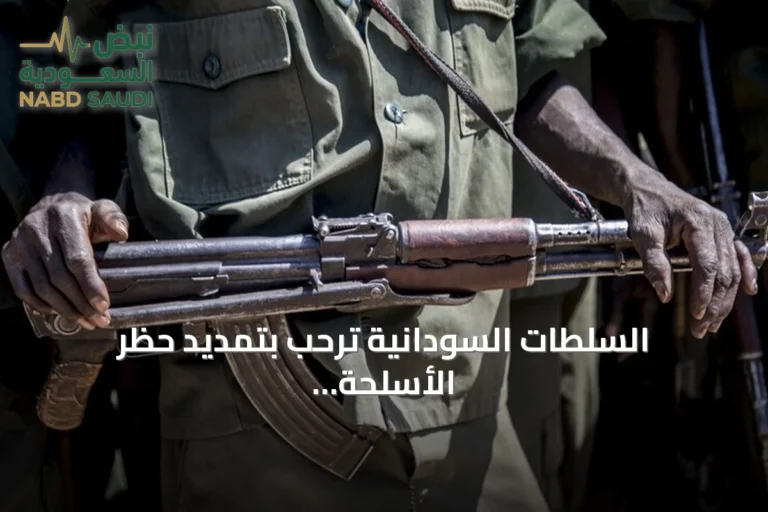 السلطات السودانية ترحب بتمديد حظر الأسلحة على إقليم دارفور وتعارض توسيع الحظر لتشمل كامل الدولة