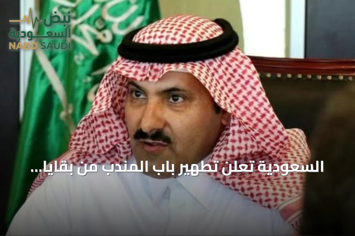 السعودية تعلن تطهير باب المندب من بقايا ميليشيا الحوثي