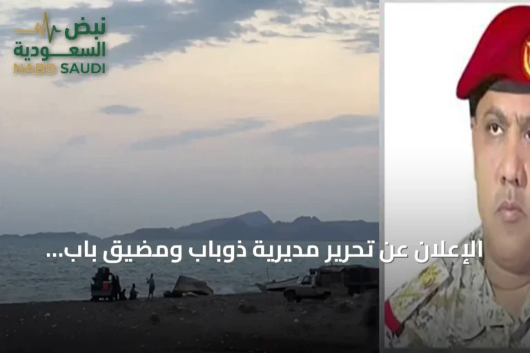 الإعلان عن تحرير مديرية ذوباب ومضيق باب المندب بالكامل من قبل القوات اليمنية