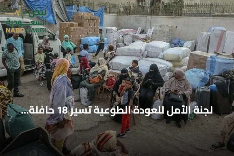 لجنة الأمل للعودة الطوعية تُسيّر 18 حافلة تنقل 882 سودانيًا من مصر إلى السودان
