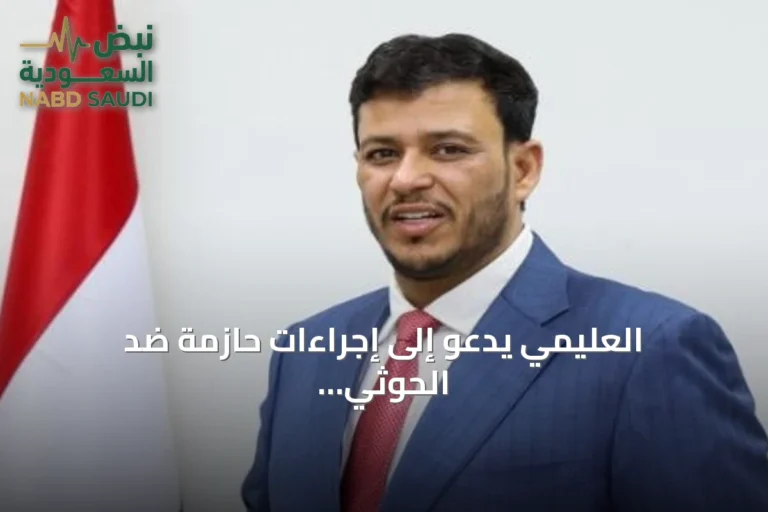 العليمي يدعو إلى إجراءات حازمة ضد الحوثي بعد استهداف مطار الملك خالد الدولي