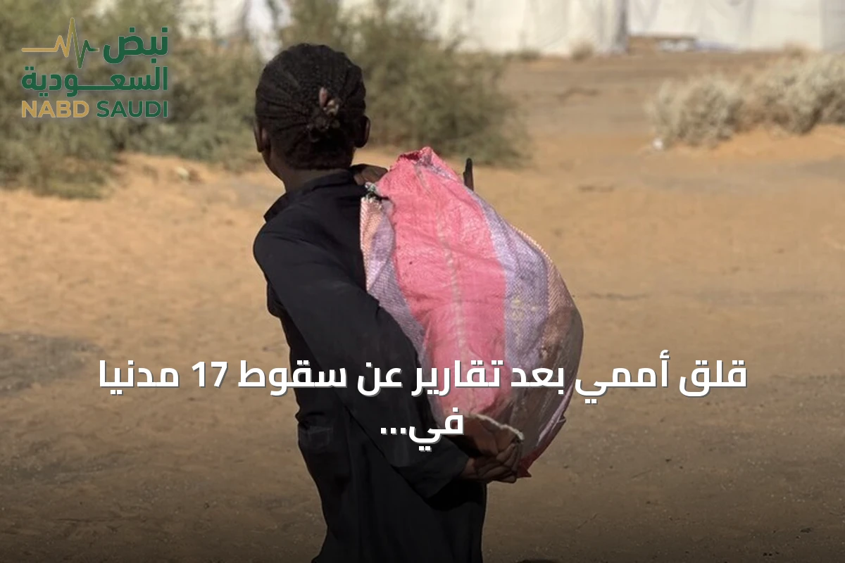قلق أممي بعد تقارير عن سقوط 17 مدنياً في غارات مسيرة بغرب كردفان