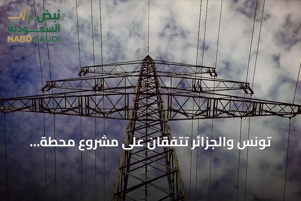 تونس والجزائر تتفقان على مشروع محطة كهرباء بقدرة 1400 ميغاواط لتخفيف أزمة الانقطاعات