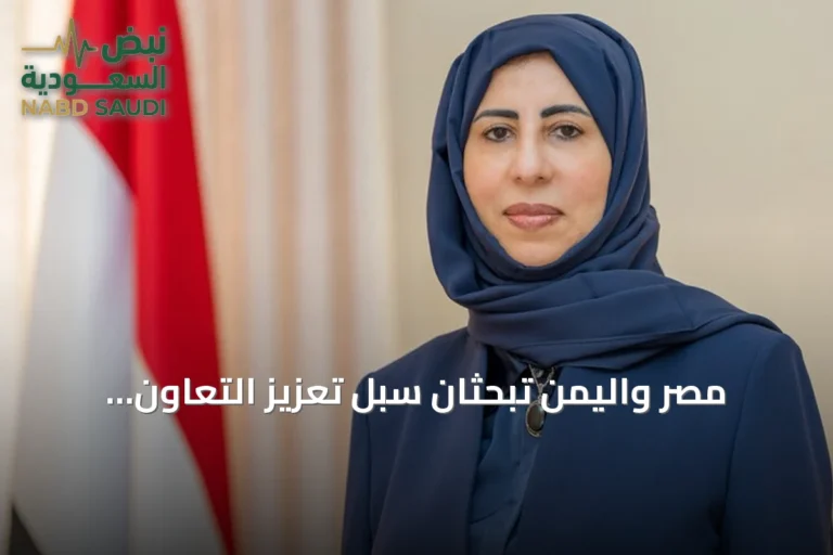 مصر واليمن تبحثان سبل تعزيز التعاون لحماية الملاحة الدولية عبر باب المندب