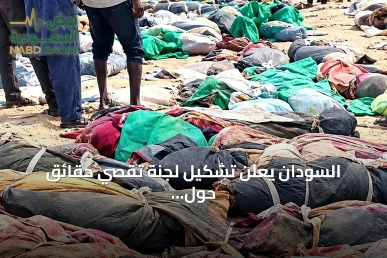 السودان يعلن تشكيل لجنة تقصي حقائق حول مقتل عمال تعدين على الحدود المصرية