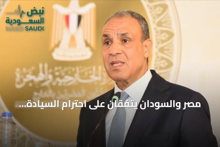 مصر والسودان يتفقان على احترام السيادة بعد تشكيل لجنة تحقيق سودانية عن قصف حدودي