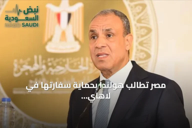 مصر تطالب هولندا بحماية سفارتها في لاهاي وتطالب بالإفراج عن مواطن محتجز