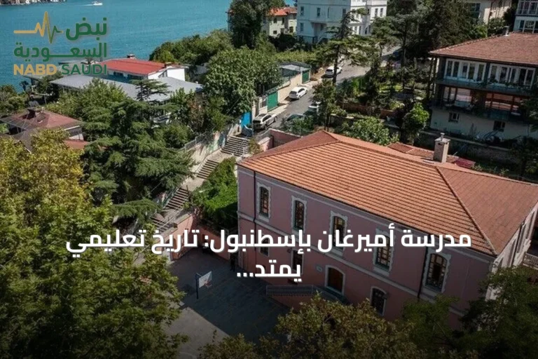 مدرسة أميرغان بإسطنبول: تاريخ تعليمي يمتد منذ 1870