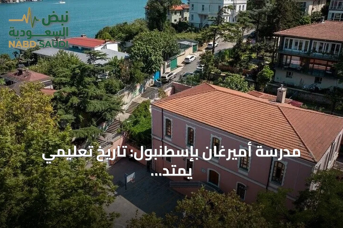مدرسة أميرغان بإسطنبول: تاريخ تعليمي يمتد منذ 1870