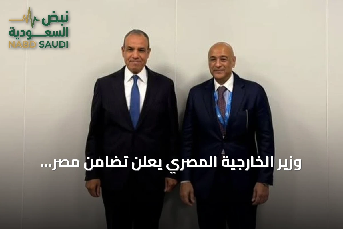 وزير الخارجية المصري يعلن تضامن مصر الكامل مع السعودية ضد التهديدات الإقليمية