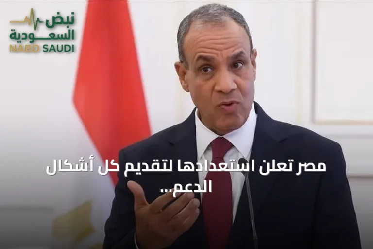 مصر تعلن استعدادها لتقديم كل أشكال الدعم للسعودية في مواجهة اعتداءات الحوثيين