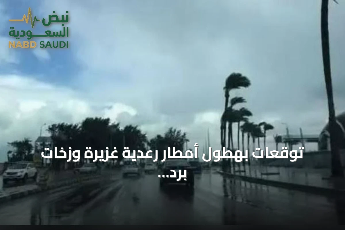 توقعات بهطول أمطار رعدية غزيرة وزخات برد على عدة مناطق سعودية مع نشاط للرياح وتشكل ضباب ليلي
