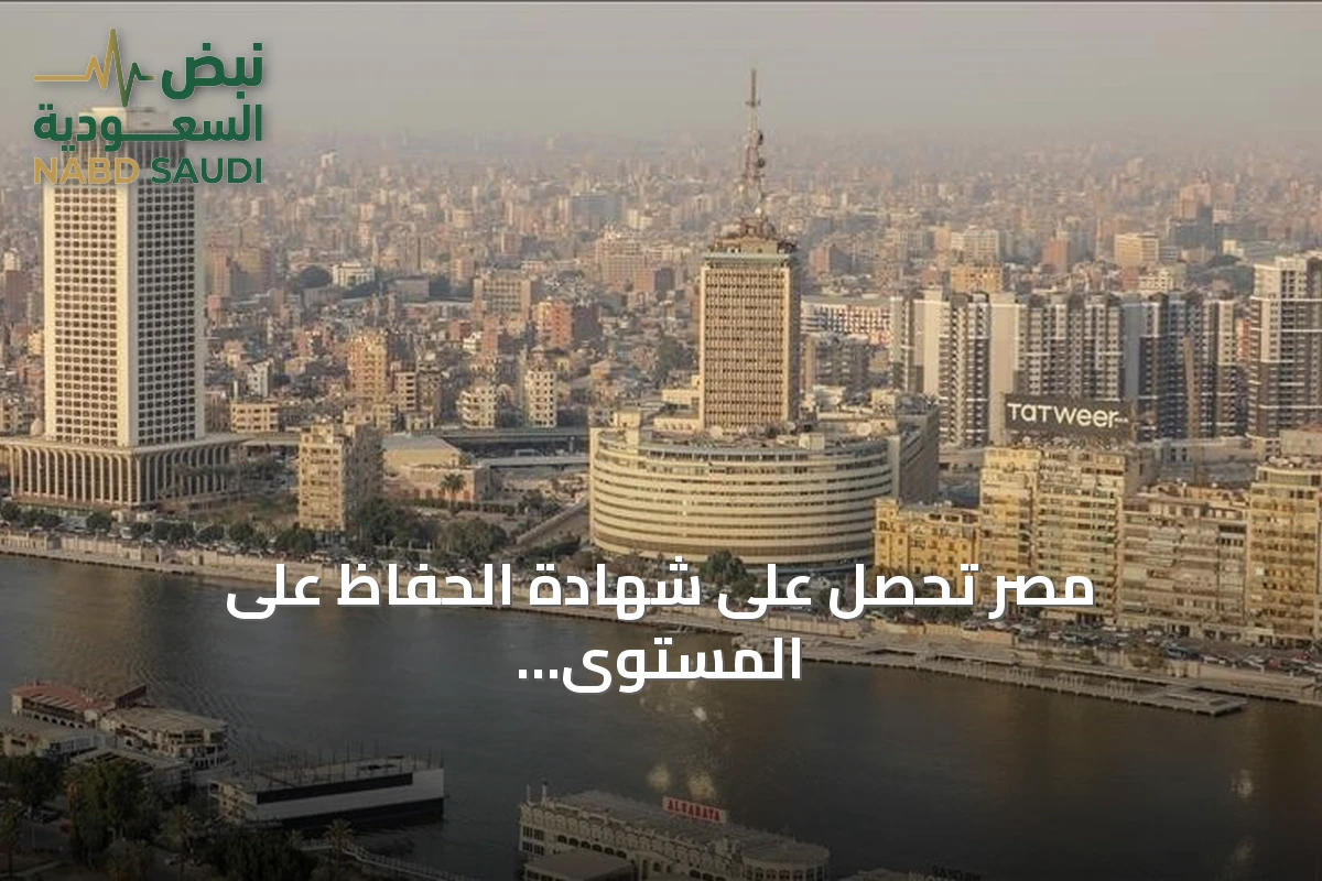 مصر تحصل على شهادة الحفاظ على المستوى الذهبي للقضاء على فيروس سي من منظمة الصحة العالمية